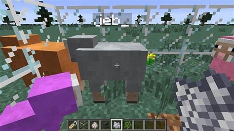 Rainbow sheep (1.7.4) Minecraft Map