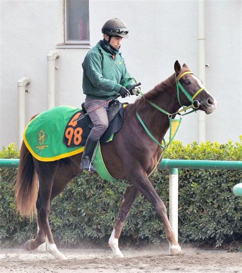 【pog】サンクロワ仕上がり万全競馬・レースデイリースポーツ Online