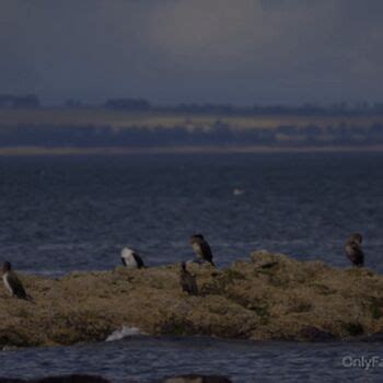 Cinderella Girl Cinderella Story Cinderelagirl69 Cinderelastory Nude OnlyFans Page 4