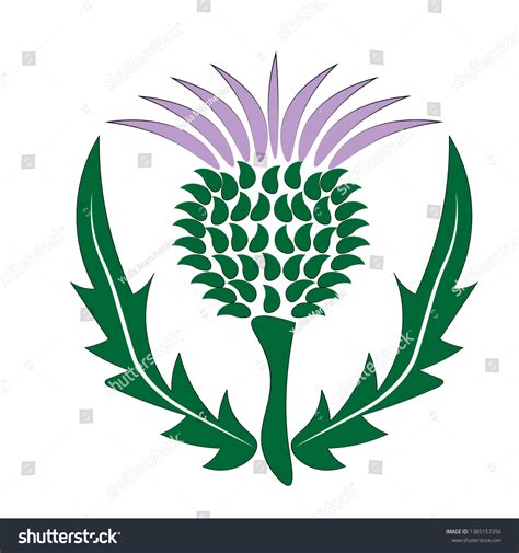 Thistle Scotland Symbol Emblem Stock Vector (Royalty Free) 1385157356 | Shutterstock