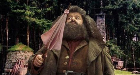 Morre Robbie Coltrane O Hagrid De Harry Potter Aos Anos Bahia