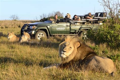 S Dafrika Rundreise Kapstadt Gardenroute Safari S Dafrika Jetzt