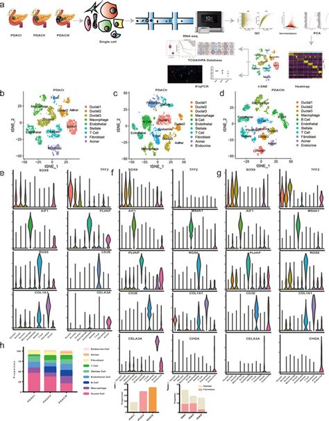 Scrna Seq Delineats The Dynamic Changes Of Tumor Microenvironment