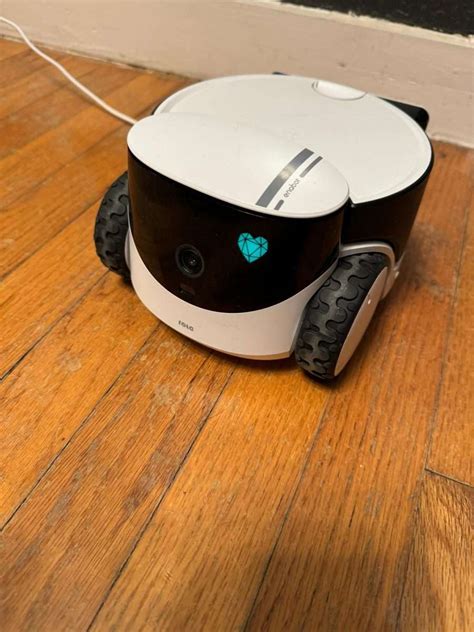 Review Of The Enabot Rola Petpal An Ai Pet Robot Companion For Pets