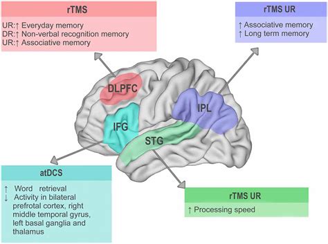 Frontiers Non Invasive Brain Stimulation A New Strategy In Mild