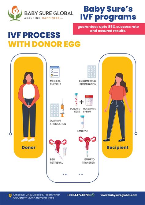 Exploring Fertility Procedures Surrogacy Ivf And More