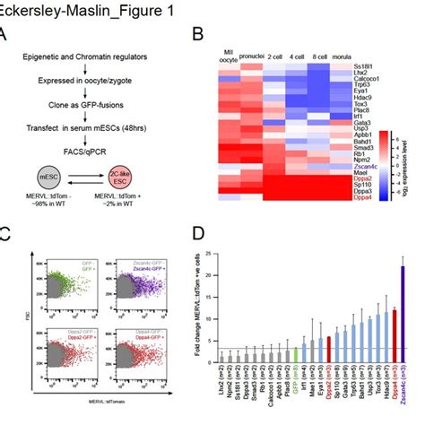 Screen for epigenetic and chromatin regulators of ZGA identifies Dppa2 ... 