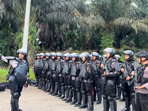 Respons Tni Polri Soal Perkelahian Anggota Tni Al Dan Brimob