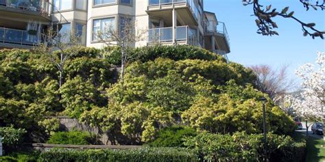 The Pleasing Aesthetics Of Terraced Retaining Walls Cornerstone Wall Solutions