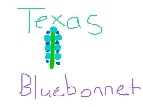 Texas Bluebonnet Drawn Clipart Best