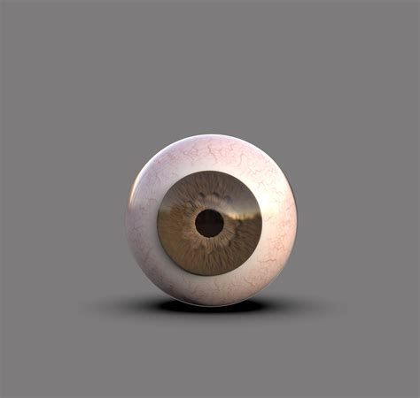 3d Model Human Eye 3d Model Cgtrader