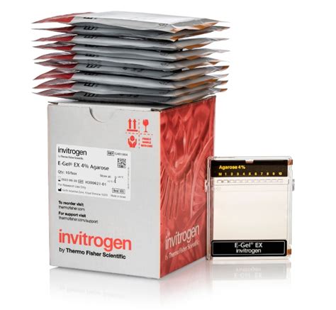 Invitrogen Gels Dagarose E Gel EX 4 10 Gels Gels Dagarose Pour L