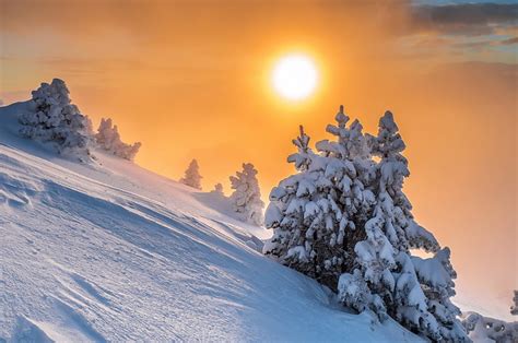 Hd Wallpaper Snow Winter Sun Nature Beauty In Nature Cold