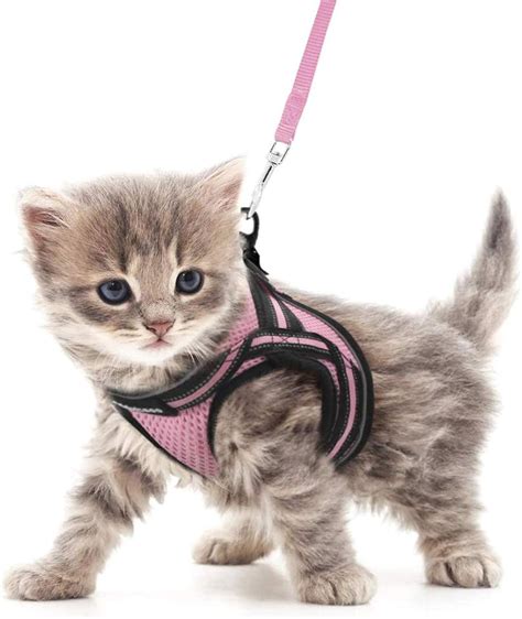 Rabbitgoo Cat Harness And Leash Set For Walking Escape Proof