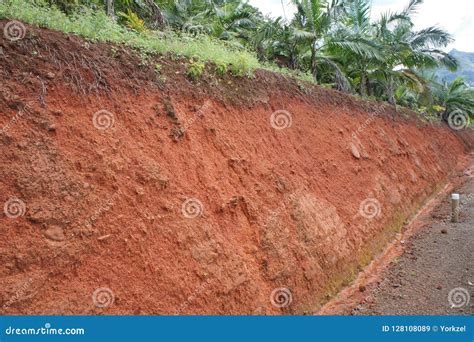 The Structure Of The Soil Layer On The Island Of Mauritius Typical Of