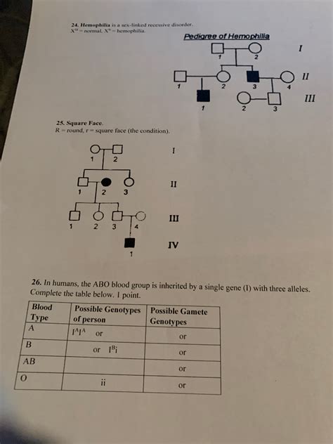 Solved 24 Hemophilia Is A Sex Linked Recessive Disorder