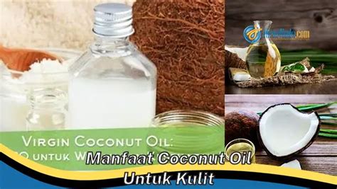 Temukan 8 Manfaat Minyak Kelapa Untuk Kulit Yang Bikin Kamu Penasaran