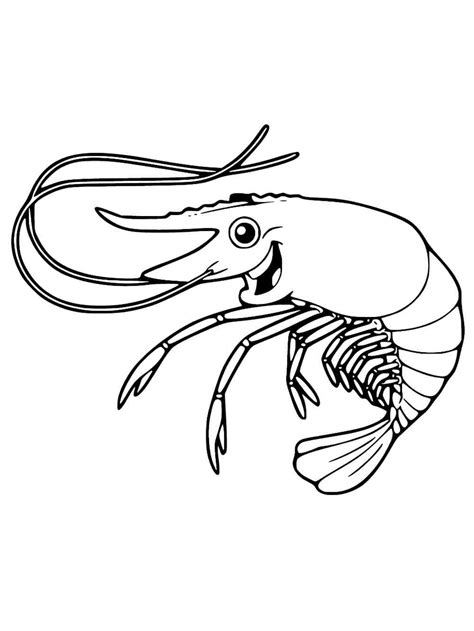 Shrimp Coloring Pages