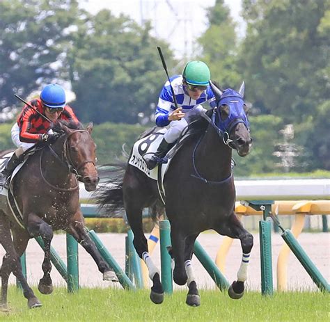 ＜東京5r新馬戦＞レースを制した永野騎乗のオンザブロッサム＝右（撮影・西川祐介） ― スポニチ Sponichi Annex ギャンブル