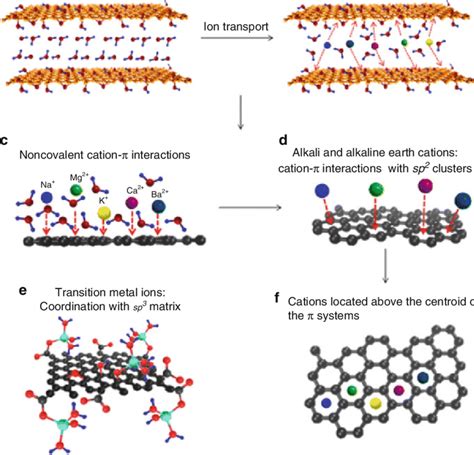 5 Schematic Diagrams Of Selective Ion Transport Through Go Membranes