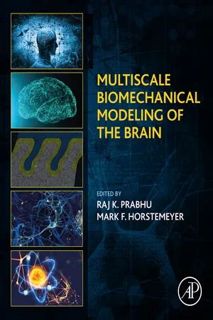 PDF Multiscale Biomechanical Modeling Of The Brain De Mark F