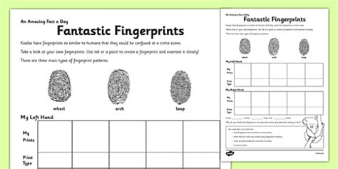 Fantastic Fingerprints Worksheet Worksheet Twinkl