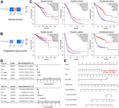 Association Of CCL19 Expression With Improved Survival In Breast And