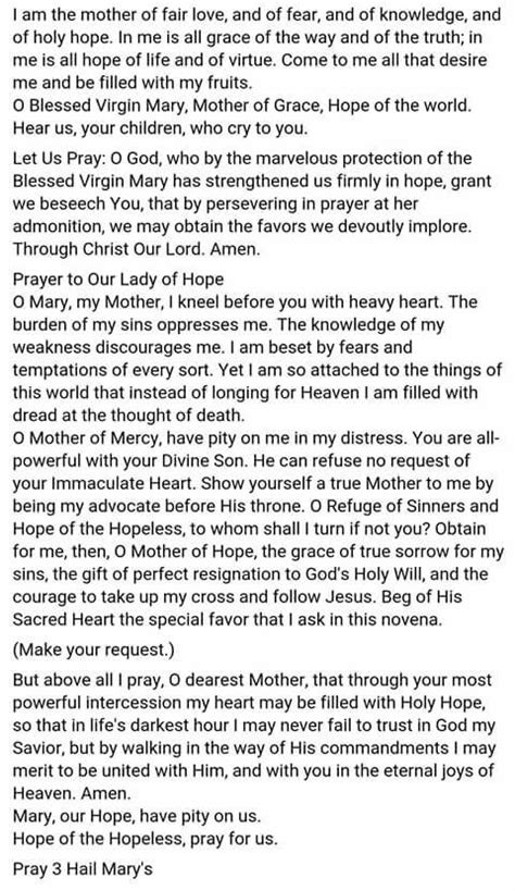 Nine Day Novena To The Blessed Mother Novena Prayers Catholic Prayers