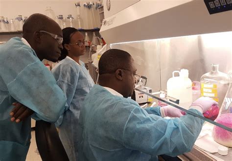 News - Arenas-Gamboa Laboratory