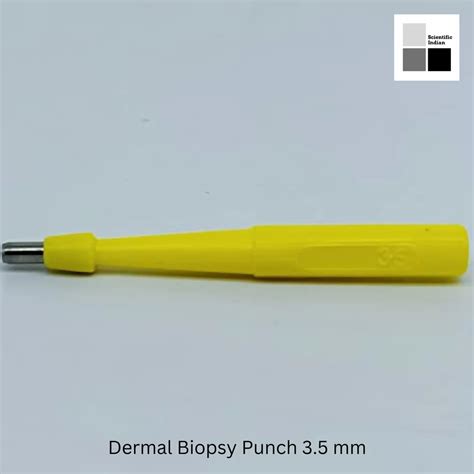 dermal biopsy punch  mm set   model namenumber