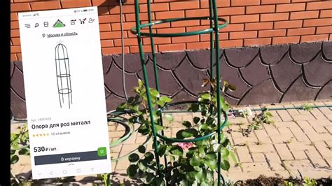 Опора для роз из леруа мерлен. Дуги для укрытия из Стекло пластиковой ...