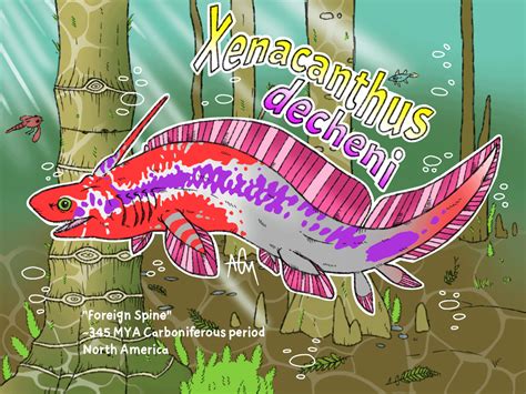 Xenacanthus Decheni Rpaleoart
