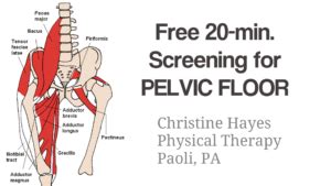 Pelvic Floor Pain? Get Treatment Now. Free Screening. 610-595-4020