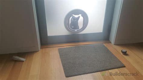 Cat door installation (# 566211) | Builderscrack