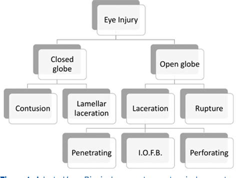 Table 1 From Systematic Analysis Of Ocular Trauma By A New Proposed Ocular Trauma Classification