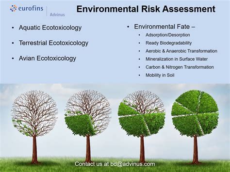 We Can Help With Environmental Risk Assessment Studies That Help