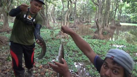 Blusukan Di Sore Hari Bersama Pak Amran Tumbit Dapat Ikan Kembar YouTube