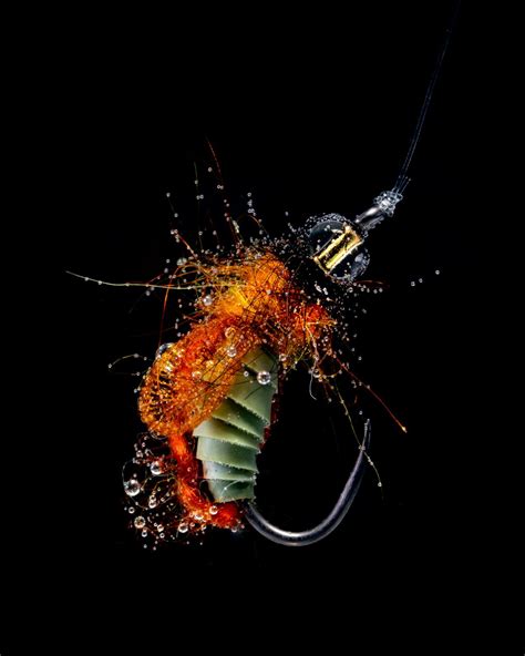 Nymph Under Water Global Flyfisher