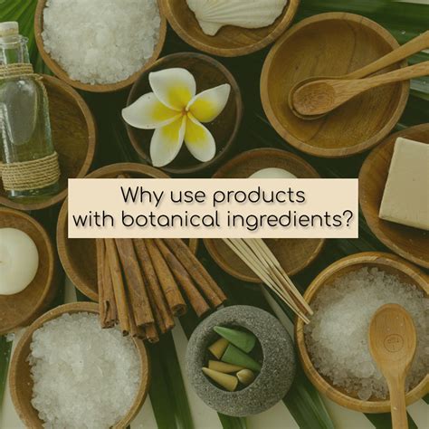 Why Use Botanical Ingredients ⋆ Cynthia Rowland