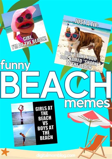 Beach Memes 25 Funny Images About Sand Water And Ocean