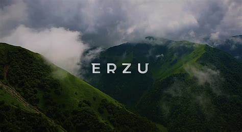 Erzu.industry