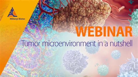 Tumor Microenvironment In A Nutshell Webinar Youtube