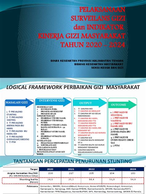 Pelaksanaan Surveilans Gizi Dan Indikator Kinerja Gizi Masyarakat 2020 2024 Pdf