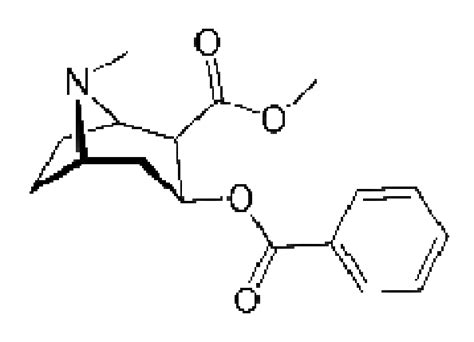 Estrutura Molecular Da Cocaína Download Scientific Diagram