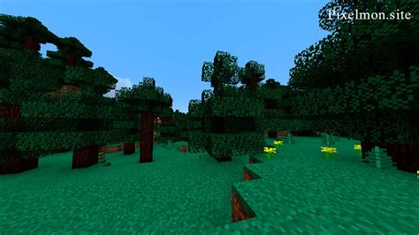 Taiga Biome Minecraft