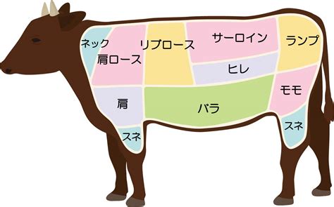 極上部位の頂点へA5ランクのお肉の秘密 斜め打ちニュース