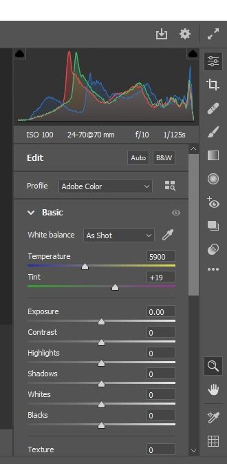 4 Easy Ways To Convert RAW Files To JPEG In Photoshop