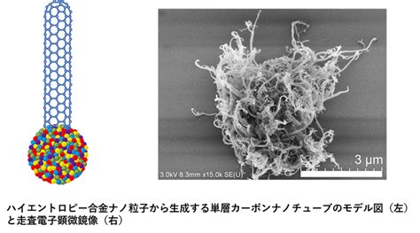 カーボンナノチューブ合成 テック・アイ技術情報研究所