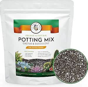 Amazon Organic Potting Soil Cactus And Succulent Soil Mix