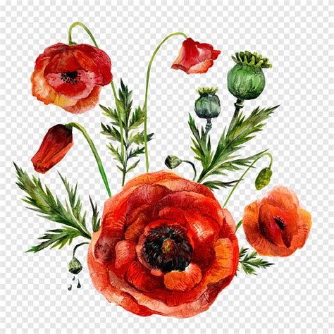 Watercolor Flowers Red Watercolor Flowers Png Pngegg